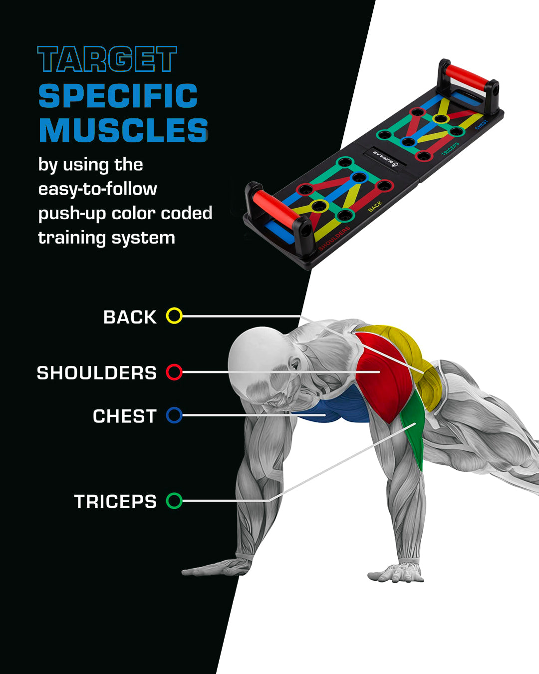 push up board - recilia